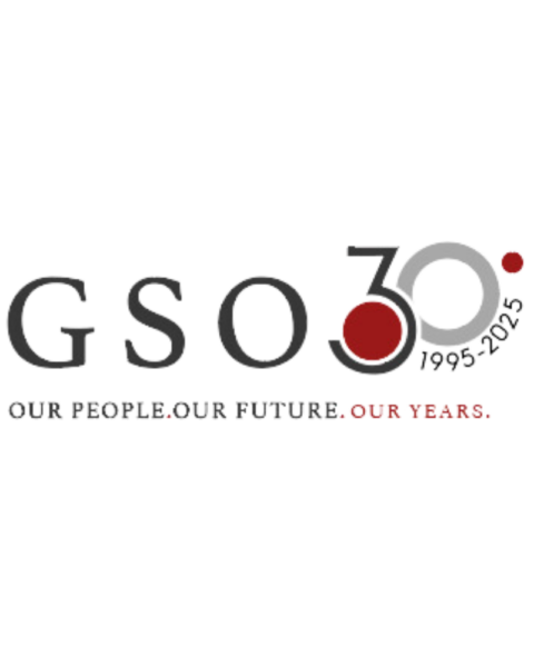 gso-30-anni-squared-2